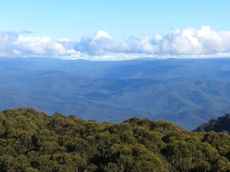 Hiking Trails and Scenic Spots at Mount Donna Buang