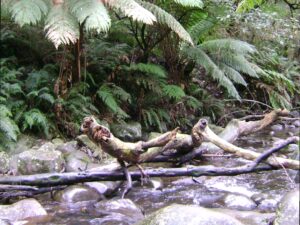 Badger Weir Park: Enjoying picnics and walks at Badger Weir Park.