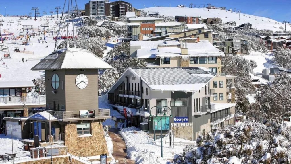 Mt Buller Day Trip Cost