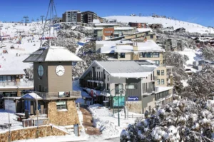 Mt Buller Day Trip Cost