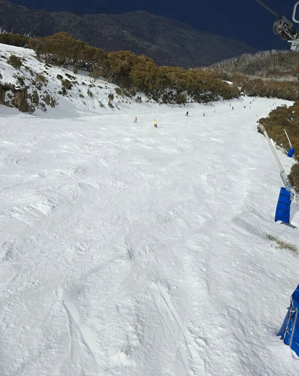 Why Choose Mt Buller for a Day Trip